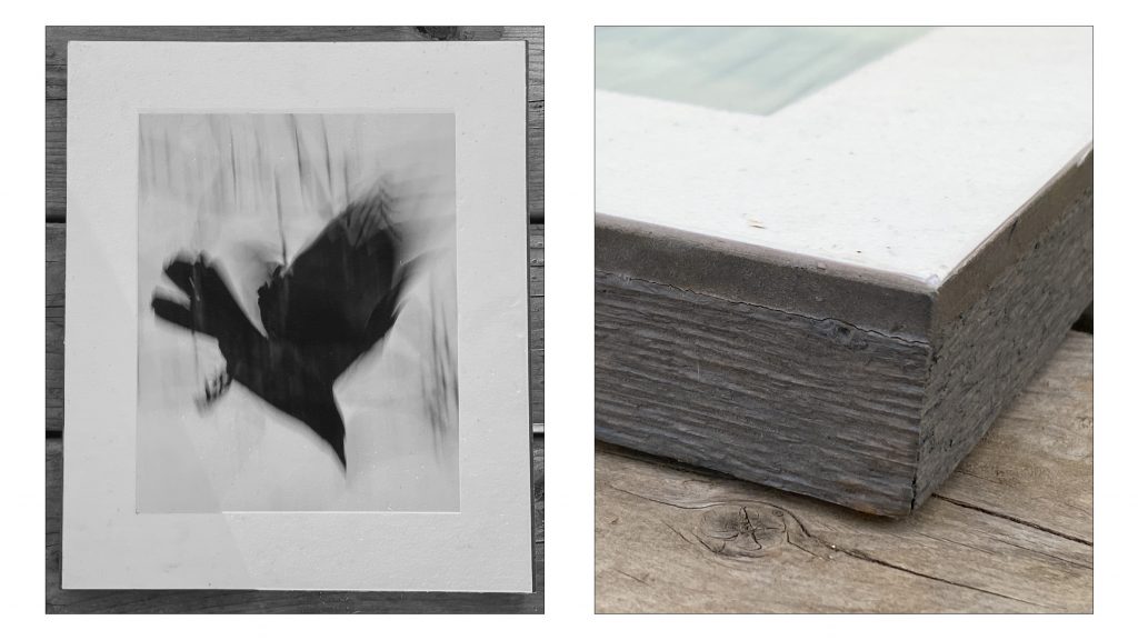 two photos, one of photo of a crow and one of a frame detail