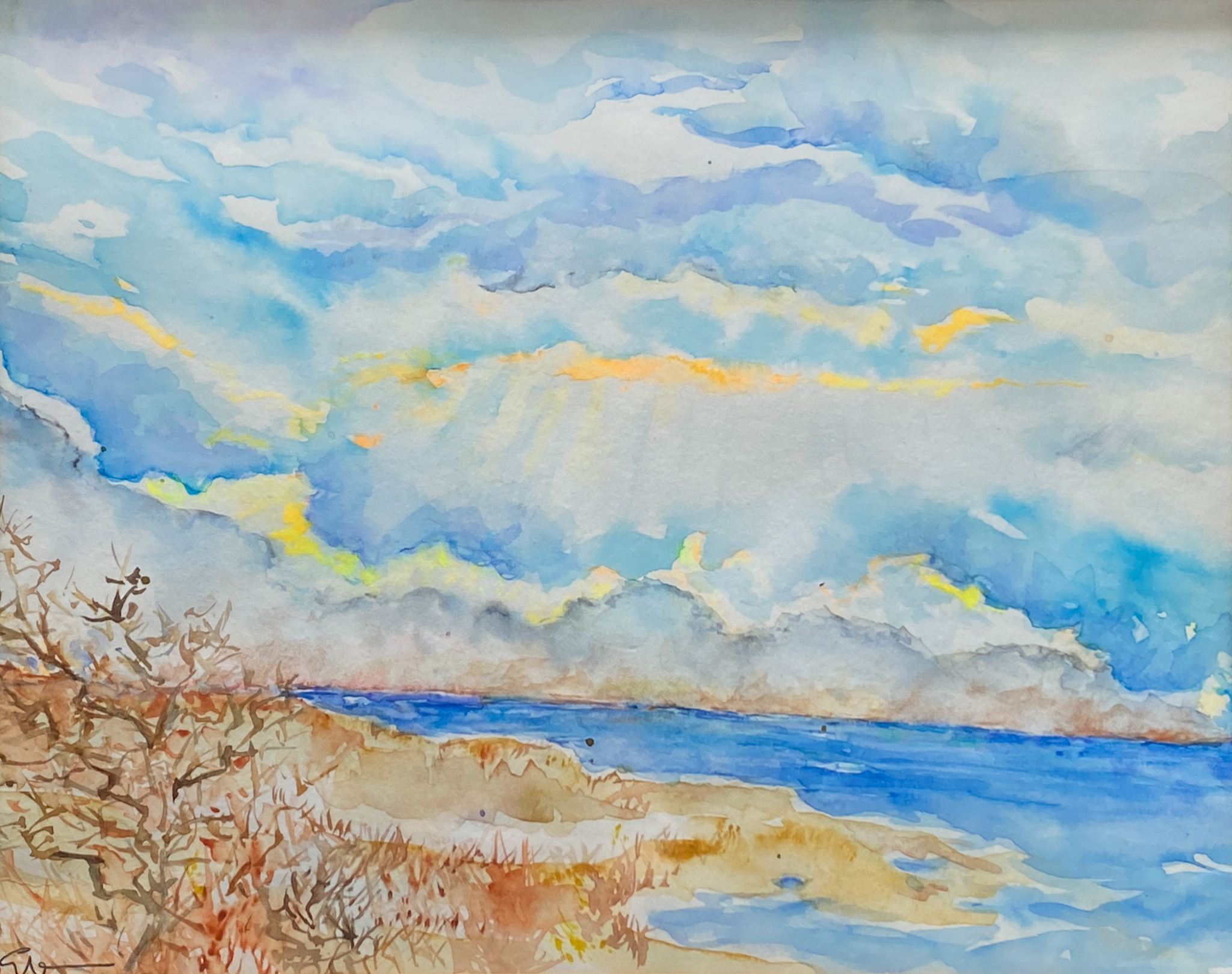 Spring Buds — Her studio is built high behind her house and every window has an interesting view. This is the view south towards the Aldernay Point. The vegetation struggles here because of the wind and the cold, but it’s hearty. This watercolour captures that sense of spring coming but not here, yet.